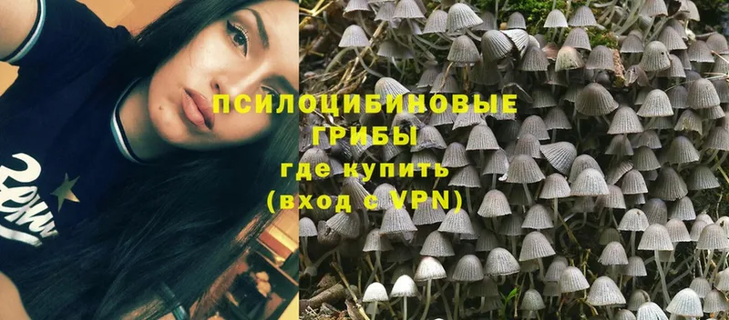 Псилоцибиновые грибы MAGIC MUSHROOMS  Дубна 